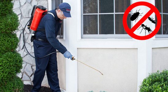 Kapaklı Akrep İlaçlama böcek ilaçlama ve haşere kontrolü — ilaclama-tr.com